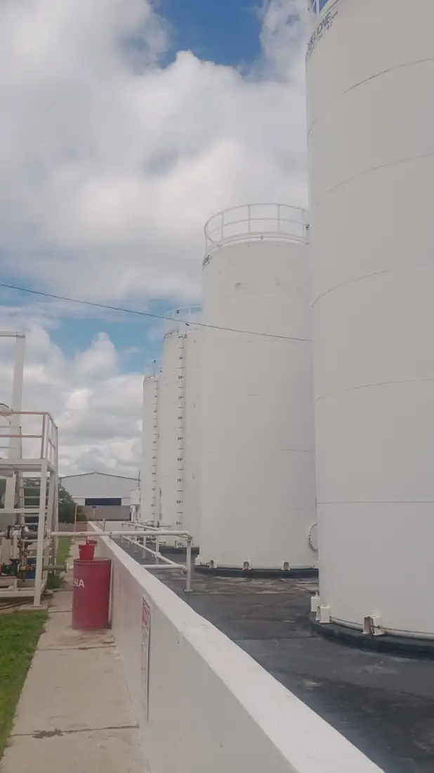 Auditorías